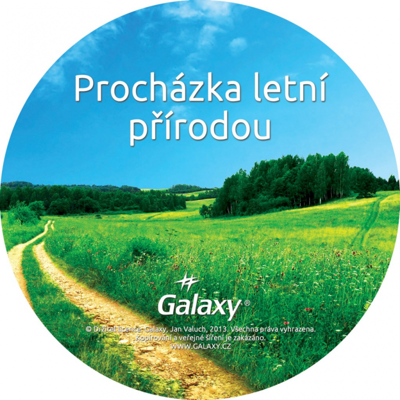 Relaxační CD, procházka letní přírodou